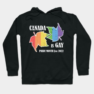 Canada is Gay Pride Month Maple Leaf June 2022 Hoodie